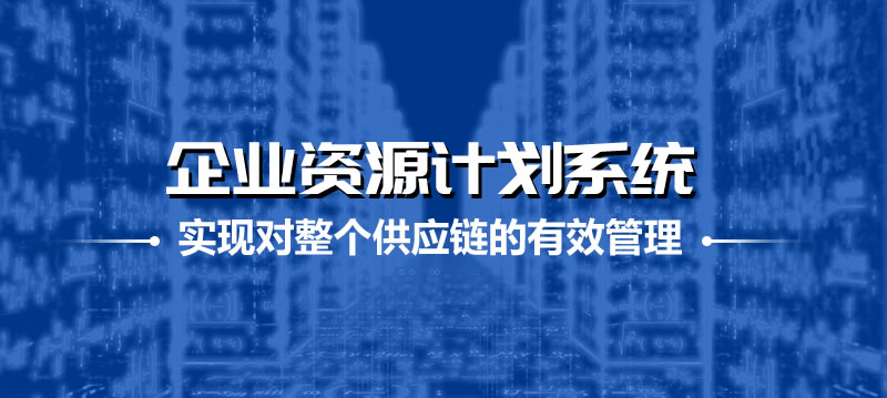 企業資源計劃系統 ERP